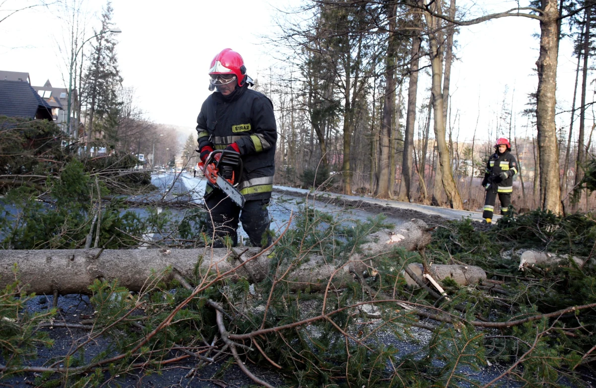 Instytut Meteorologii i Gospodarki Wodnej ostrzega przed silnym wiatrem. Na Pomorzu porywy mogą osiągać prędkość nawet 100 km/h.