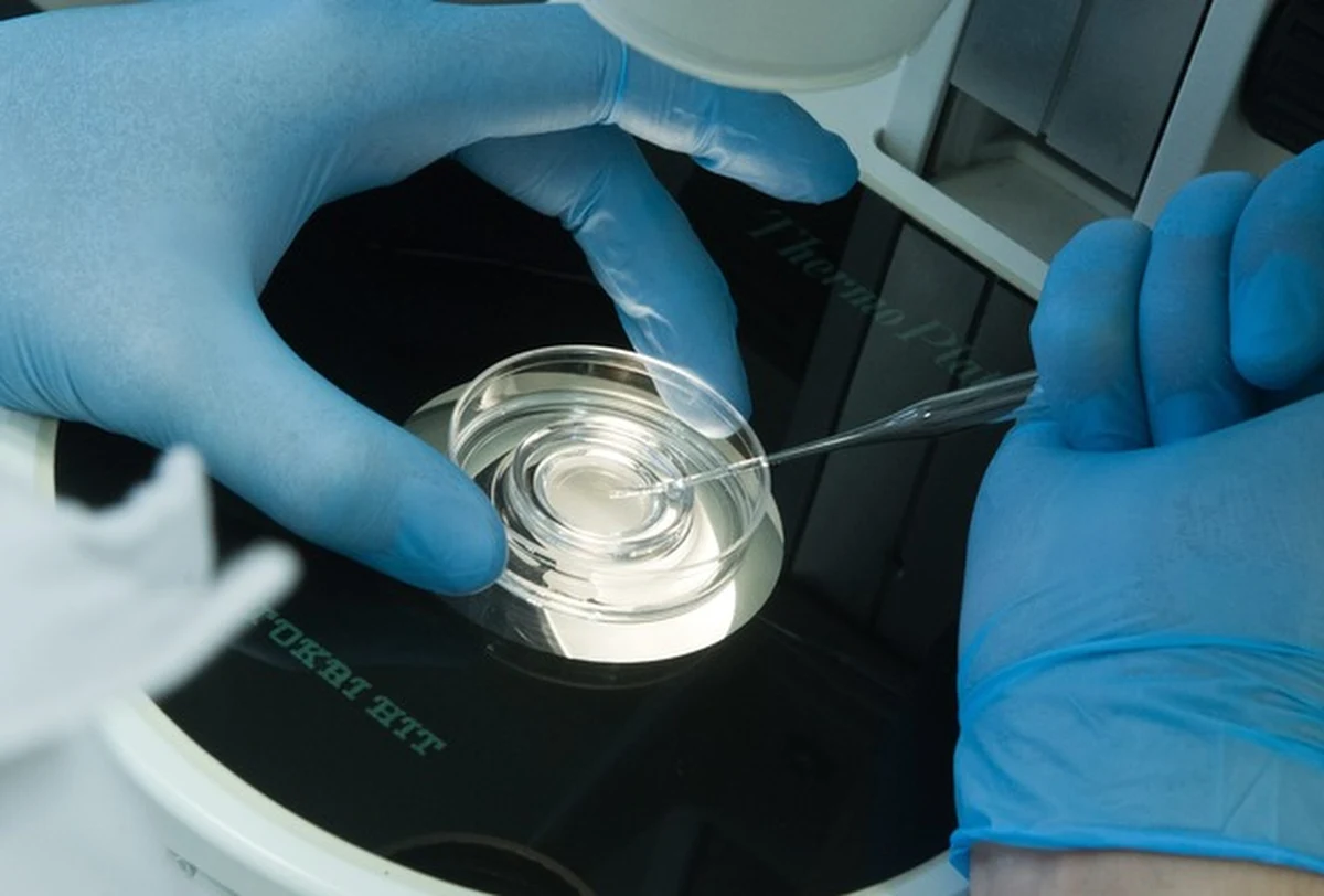 Są zarzuty dla medyków z laboratorium in vitro w Policach. Poinformował o tym szczeciński Rzecznik Odpowiedzialności Zawodowej Lekarzy, który zakończył śledztwo w tej sprawie. Laborantów za nieprzestrzeganie procedur rozliczy Krajowa Izba Diagnostów Laboratoryjnych. W wyniku pomyłki kobieta urodziła nie swoje, ciężko chore dziecko.