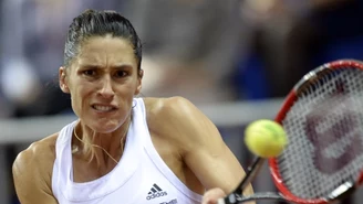 WTA Stuttgart: Petkovic nie wystąpi z powodu kontuzji