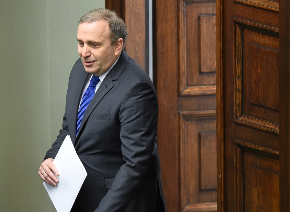 Minister spraw zagranicznych Grzegorz Schetyna przedstawił w Sejmie założenia polskiej polityki zagranicznej w 2015 roku. Wystąpieniu szefa dyplomacji przysłuchiwał się prezydent Bronisław Komorowski oraz premier Ewa Kopacz i ministrowie. Szef polskiej dyplomacji poruszał m.in. kwestię bezpieczeństwa Polski i jej roli na arenie międzynarodowej. Przedstawił też plany działania resortu w najbliższych miesiącach.