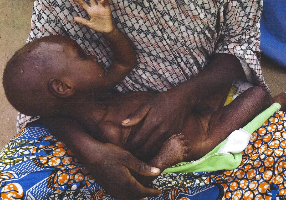 Ponad 230 kobiet i dzieci zostało uwolnionych z rąk islamistów z Boko Haram - poinformowała nigeryjska armia. To kolejna grupa - w ostatnich dniach uwolniono prawie 500 zakładników przetrzymywanych przez islamistów.