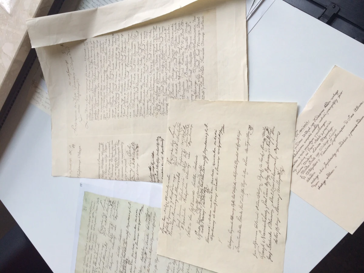 "Chciałam uratować oryginał przed destrukcją" - mówi w RMF FM Aleksandra Kołłątaj, konserwator z Zakładu Konserwacji Zbiorów Bibliotecznych Biblioteki Narodowej. Na podstawie oryginału z warszawskiego Archiwum Głównego Akt Dawnych przepisała ręcznie jedenaście stron księgi (74-84) zawierających Konstytucję 3 Maja.