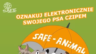 ​Zabezpiecz swojego psa