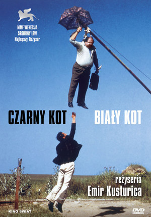 Czarny kot, biały kot