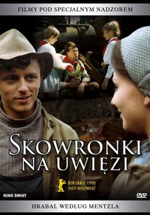 Skowronki na uwięzi