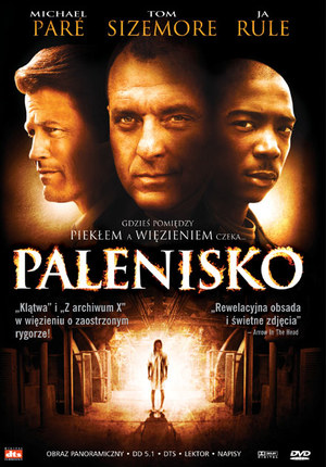 Palenisko