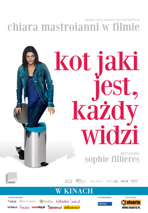 Kot jaki jest, każdy widzi