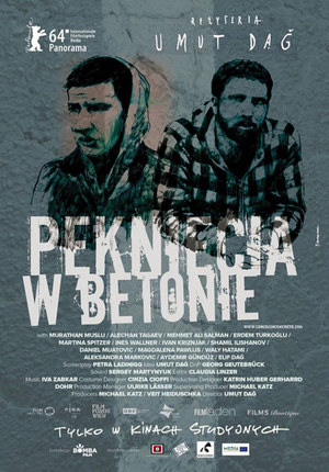 Pęknięcia w betonie