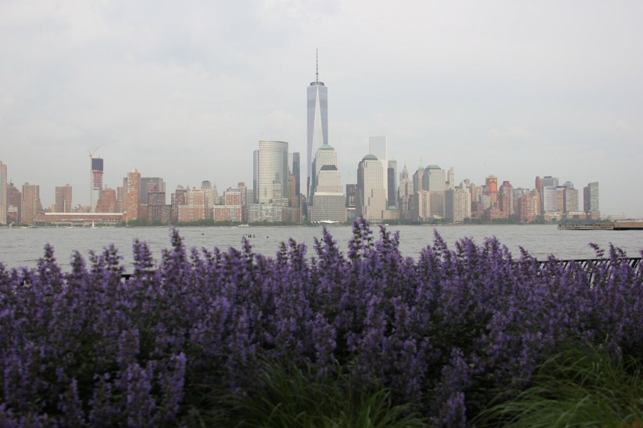 / /Paweł Żuchowski /RMF FM