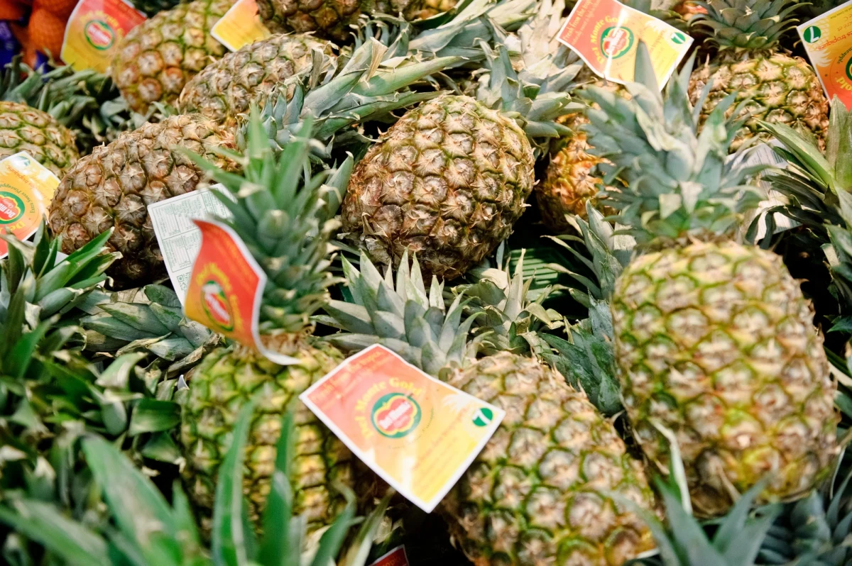 Hiszpańska policja skonfiskowała 200 kilogramów kokainy ukrytej w kontenerach z ananasami pochodzącymi z Ameryki Środkowej. Do przejęcia doszło w porcie Algeciras na południu Hiszpanii.