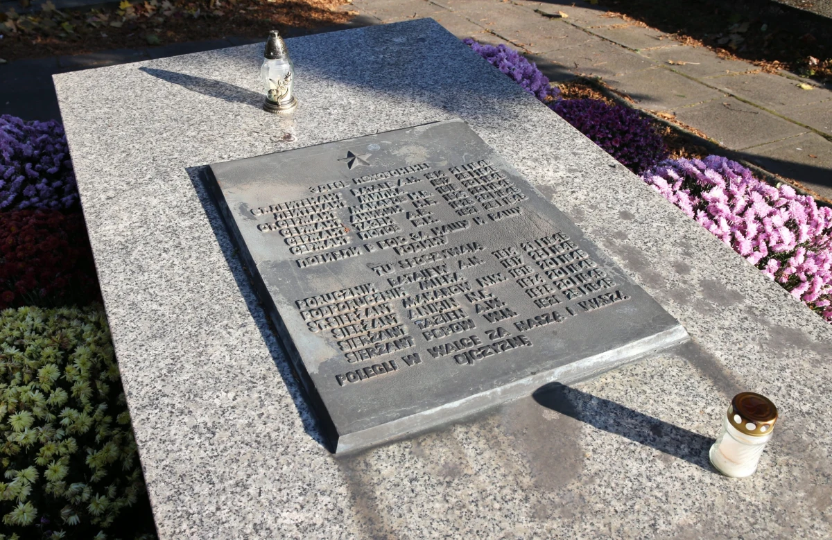 Zespół z Instytutu Archeologii i Etnologii Polskiej Akademii Nauk - Ośrodek Archeologii Gór i Wyżyn wykona w lipcu br. ekshumację szczątków czerwonoarmistów w Nowym Sączu i w innych miejscach w Małopolsce - poinformował Polską Agencję Prasową rzecznik wojewody małopolskiego Jerzego Millera Jan Brodowski.