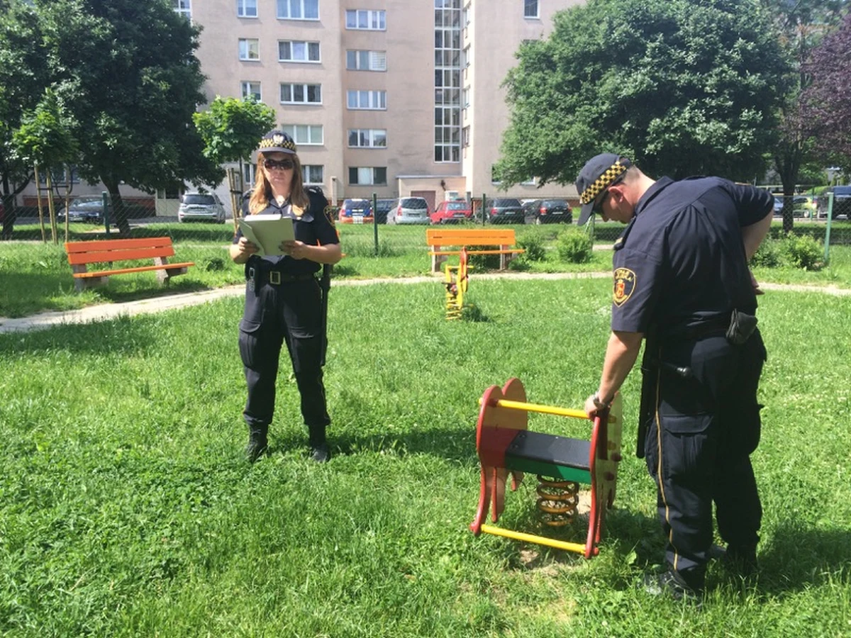 Blisko tysiąc placów zabaw skontrolują w tym roku warszawscy strażnicy miejscy. Strażnicy sprawdzają stan czystości placów zabaw, stan techniczny urządzeń oraz zabezpieczeń. 