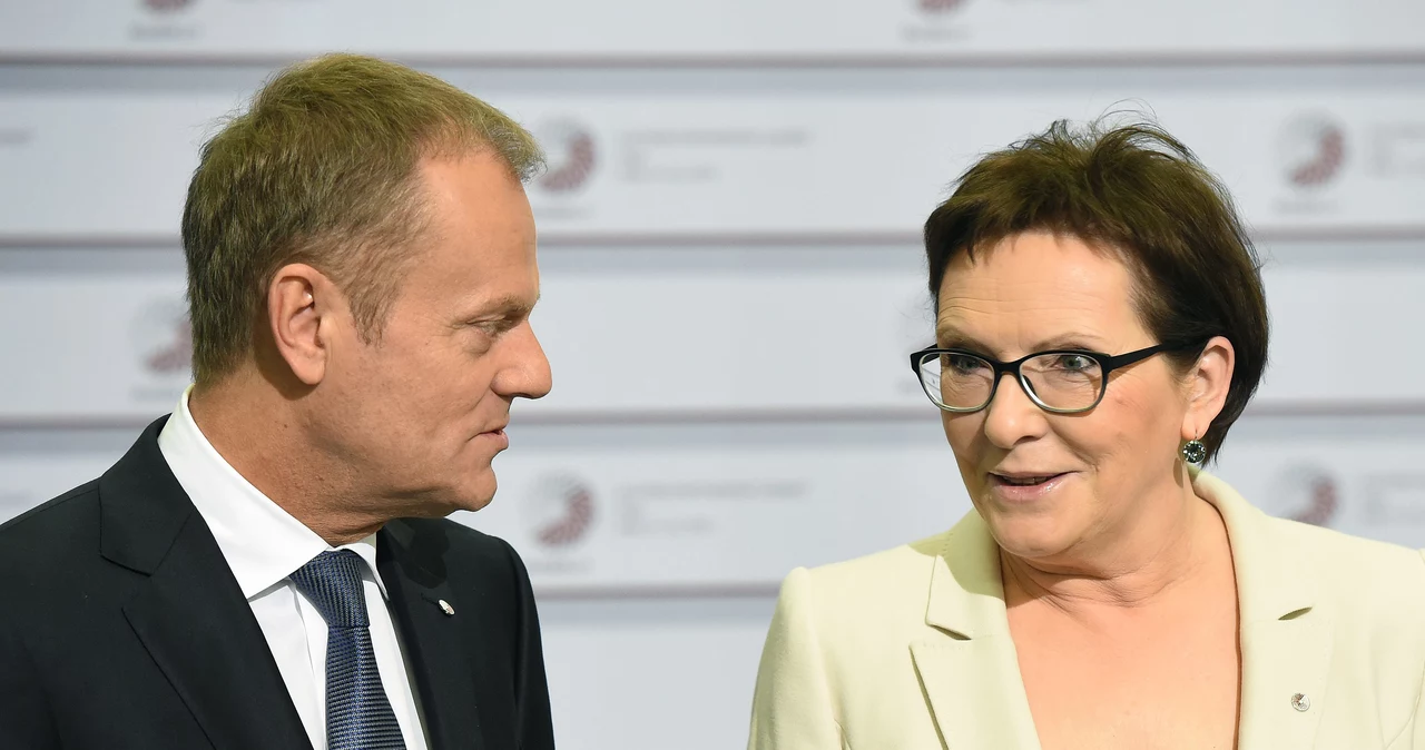 Donald Tusk i Ewa Kopacz chcą "wyrżnąć schetynowców"?