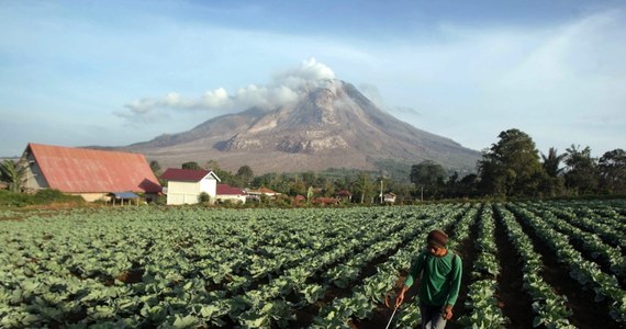 Ewakuacja mieszkańców po erupcji wulkanu Sinabung na Sumatrze. Swoje domy musiało opuścić około 3 tys. ludzi, którzy mieszkali najbliżej. 