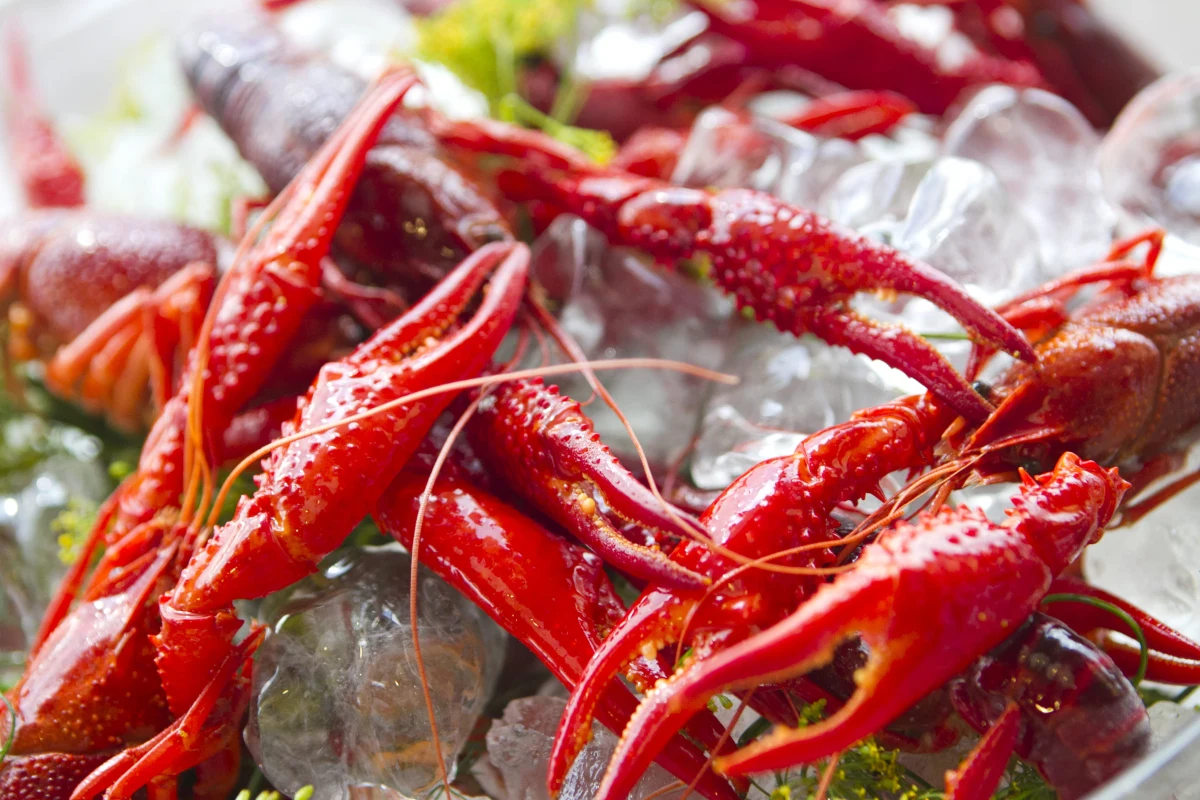 Co najczęściej króluje na naszych stołach? Chleb, lubimy też mięsa i wędliny, zupy oraz jarzyny - pisze "Rzeczpospolita". Codzienne menu wzięli pod lupę naukowcy z Instytutu Filozofii i Socjologii PAN, którzy przebadali ponad dwa tysiące trzysta osób w wieku powyżej 15 lat.