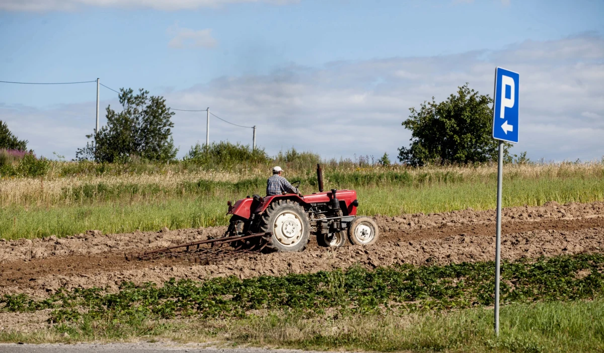 Wyroby ze złota datowane wstępnie na 1600-400 lat przed Chrystusem znalazł rolnik w okolicach Jasła na Podkarpaciu. Zabytkowe przedmioty trafiły do Muzeum Podkarpackiego w Krośnie.