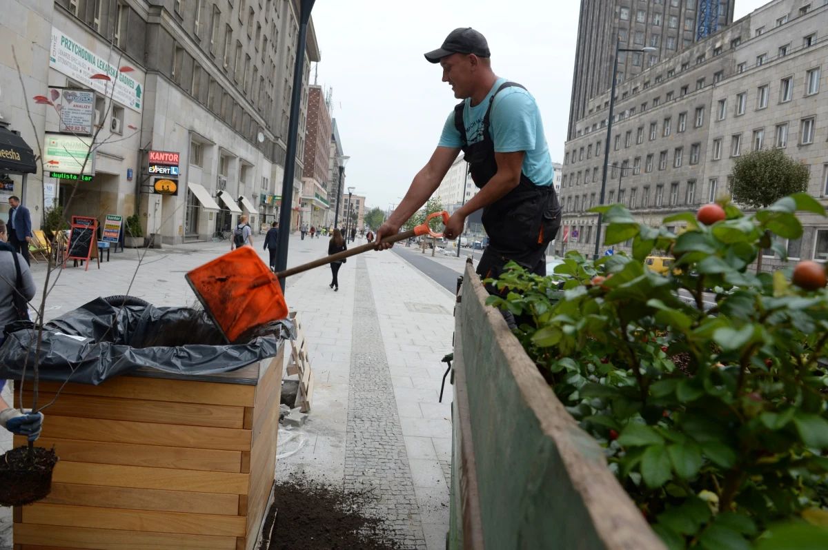 W Padwie na północy Włoch nie trzeba płacić mandatów, wystawionych przez straż miejską. Każdą karę można odpracować wykonując pożyteczne prace na rzecz miasta, na przykład posprzątać park. Godzinę takiej pracy społecznej wyceniono na 10 euro.