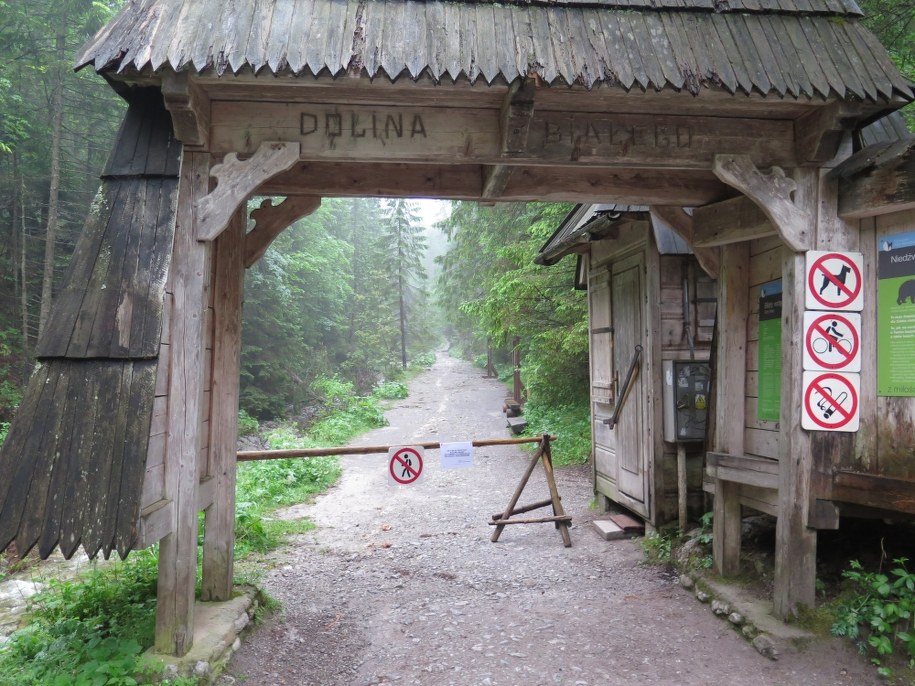 /Maciej Pałahicki /RMF FM