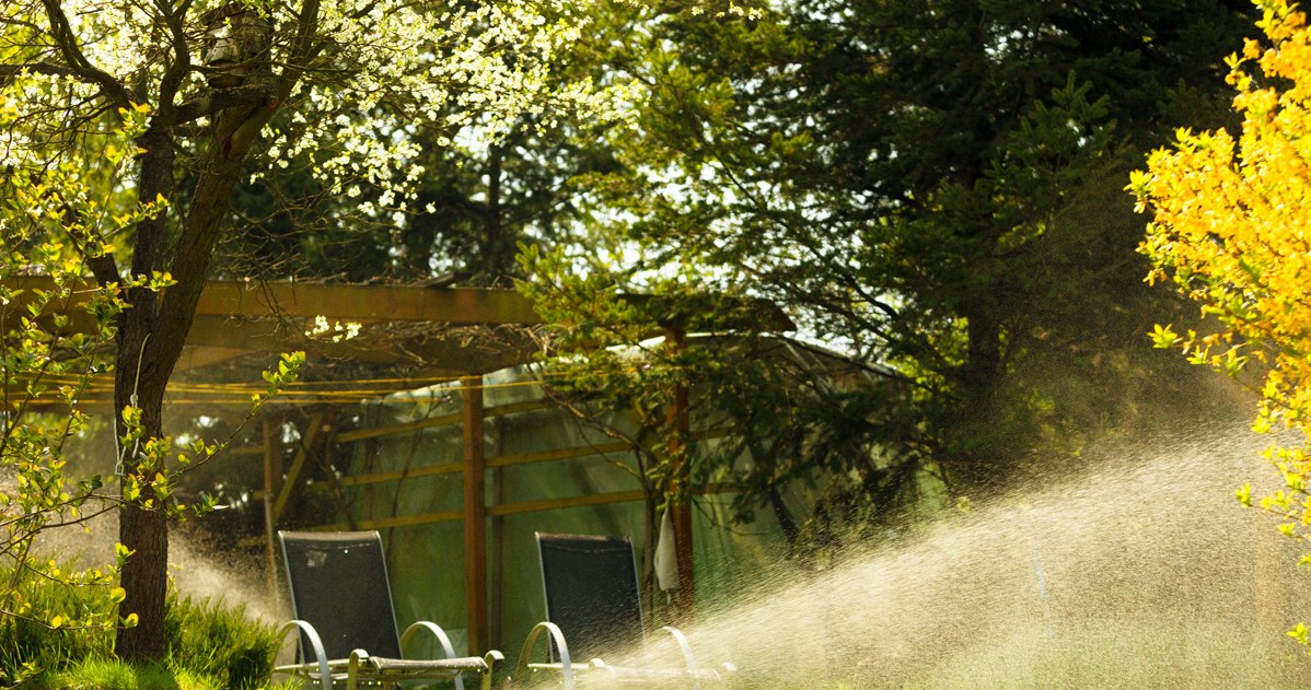 ​Ogród nie musi usychać w czasie twoich wakacji. Jest sposób, by rośliny podlewały się same