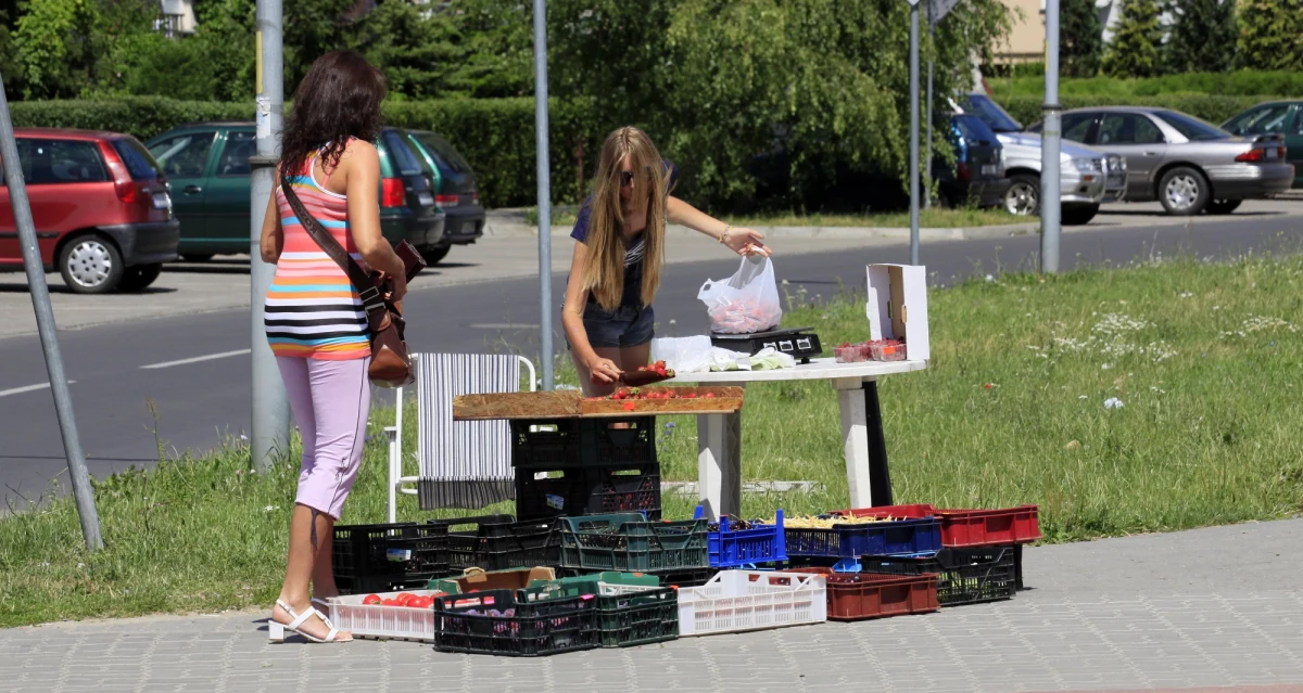 Gastronomia, hotelarstwo, zbieranie truskawek, rozdawanie ulotek. Na jaką prace może liczyć młody człowiek, który chce zarobić na wakacje? Kogo potrzebują pracodawcy? Czego oczekują i ile płacą?