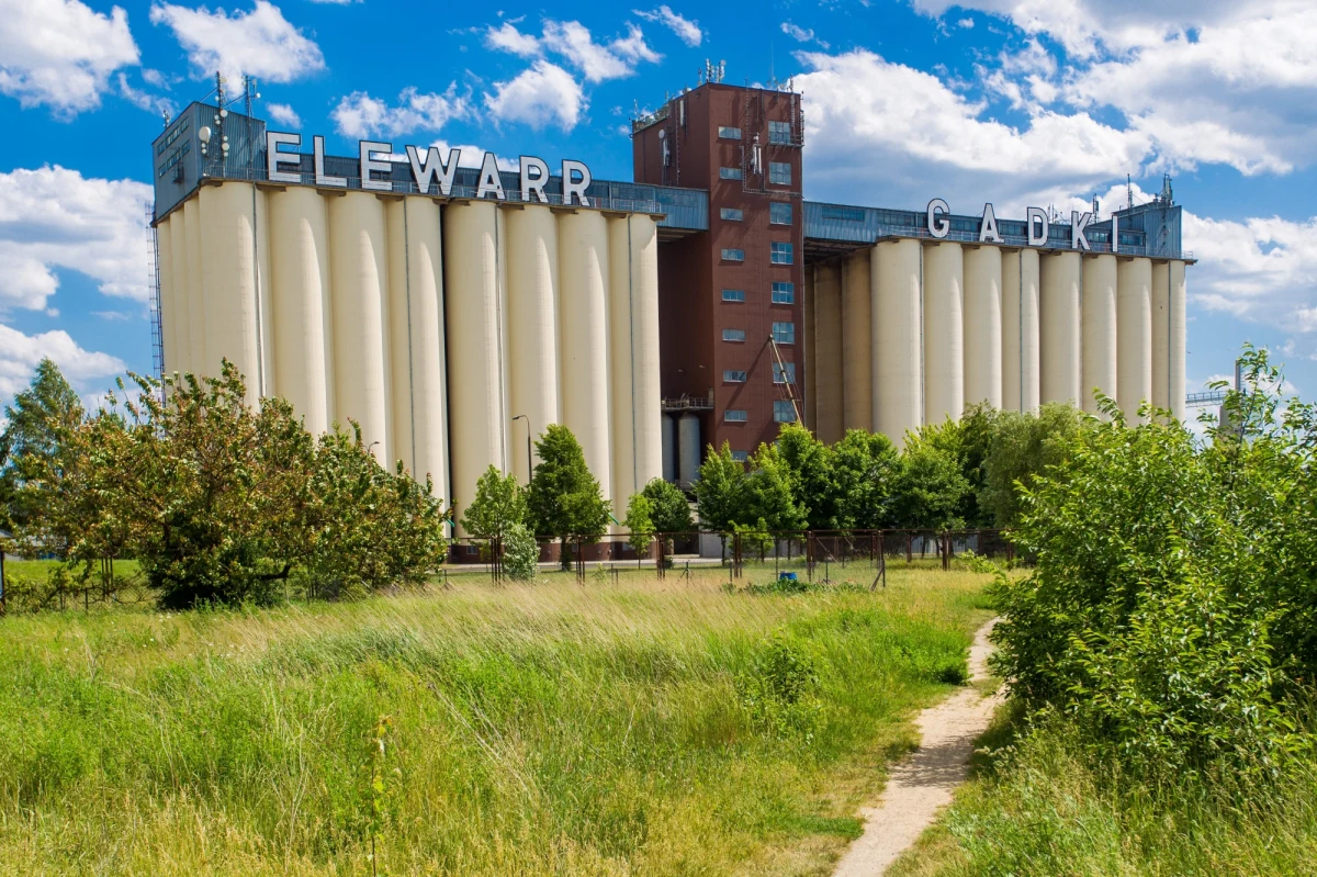 Nie będzie śledztwa po miażdżącym raporcie NIK dotyczącym spółki ELEWARR i Agencji Rynku Rolnego. Jak dowiedział się nasz reporter Grzegorz Kwolek, Prokuratura Apelacyjna w Warszawie w piątek umorzyła postępowanie w tej sprawie. 