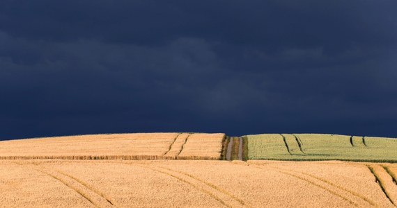 W najbliższych dniach nie należy spodziewać się nadejścia gorącego lata. Termometry wskażą maksymalnie 22 stopnie Celsjusza.