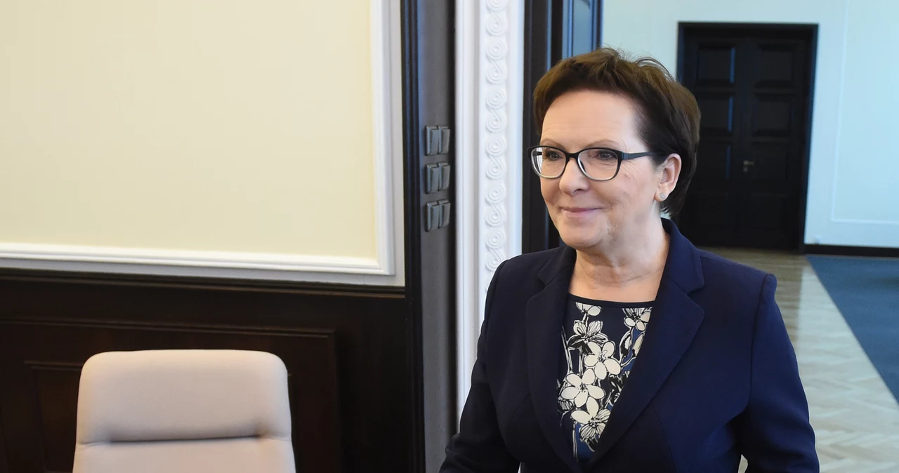 Premier Ewa Kopacz, zdjęcie ilustracyjne