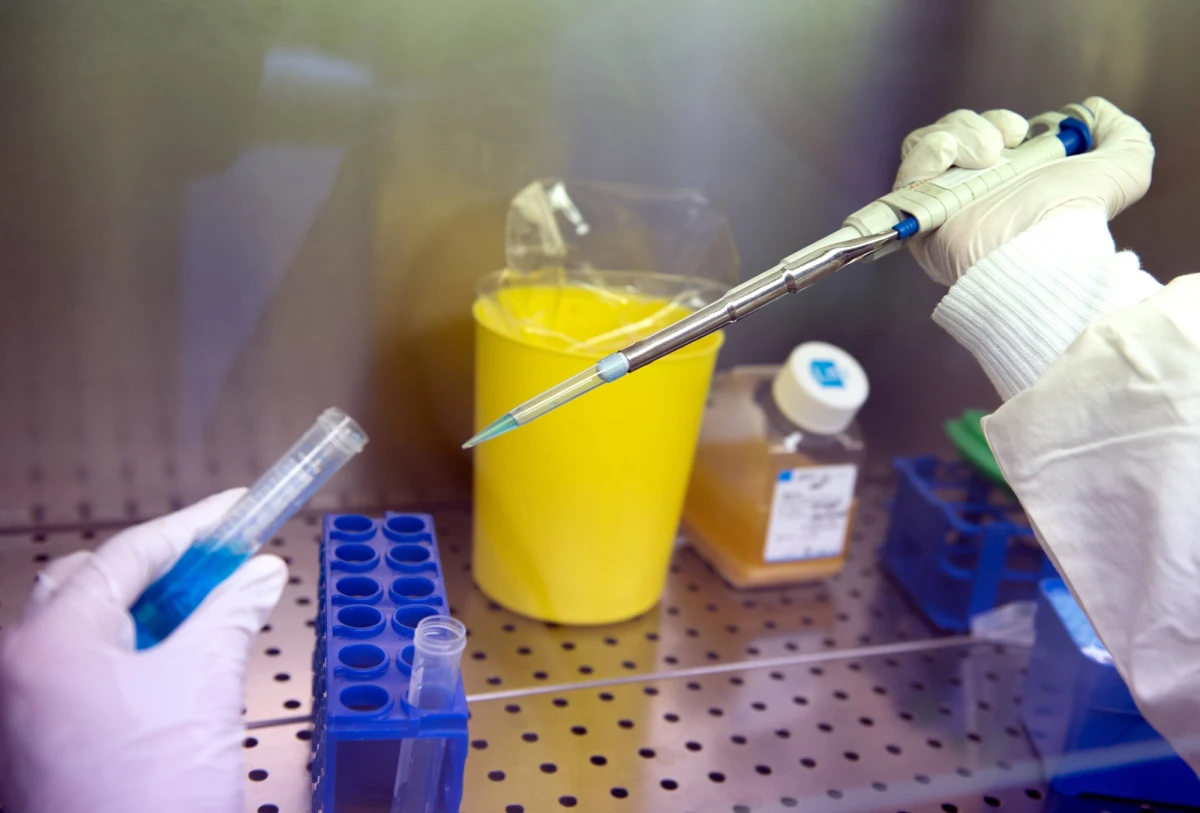 Wielki skandal sanitarno-żywnościowy wybuchł we Francji! Stworzona przez naukowców krzyżówka owcy z fluorescencyjną meduzą trafiła do rzeźni i jej mięso zostało sprzedane jako zwykła baranina. „Fluorescencyjna owca” znalazła się więc prawdopodobnie na talerzach konsumentów w regionie paryskim. 