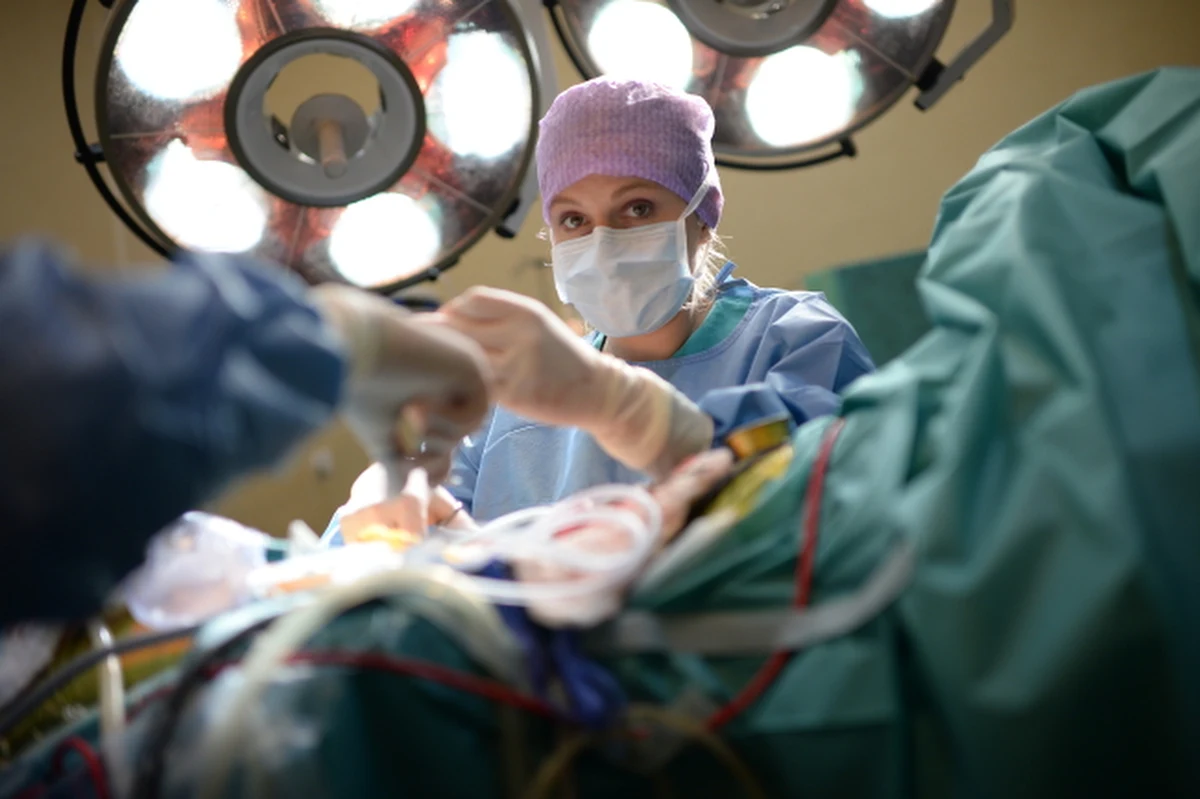 Po 12 godzinach w klinice chirurgii ogólnej i transplantacyjnej Szpitala Klinicznego Dzieciątka Jezus w Warszawie zakończył się pierwszy w Polsce tzw. przeszczep łańcuchowy nerek pobranych od żywych, niespokrewnionych dawców. "Wszystko przebiegło zgodnie z planem i bez komplikacji” - powiedział biorący udział w operacji dr Rafał Kieszek. "Najbliższe dni pokażą, jak szybko można będzie wypisać naszych pacjentów" – dodał. 