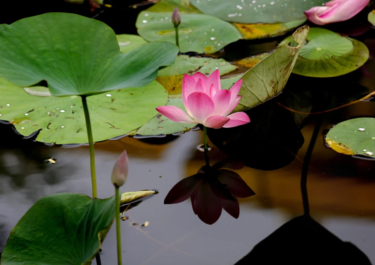 Pierwszy wakacyjny weekend przyniesie stabilne temperatury od 19 do 24 stopni Celsjusza, ale i burze z piorunami niemal w całym kraju.