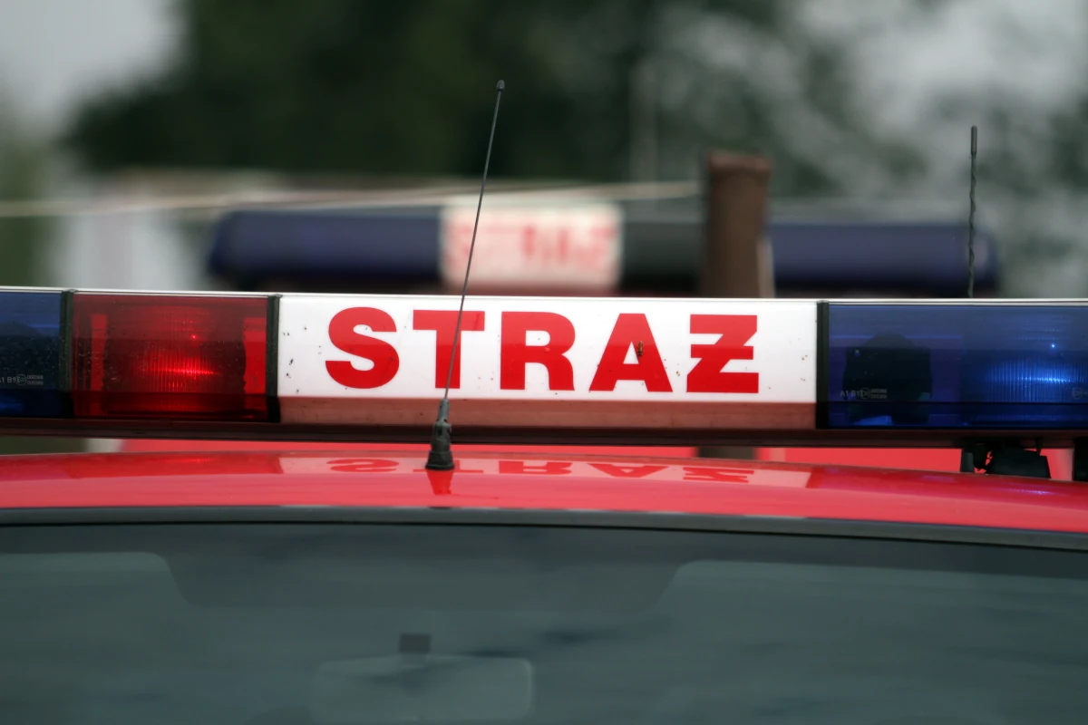 W miejscowości Dąbrówka-Stany w powiecie siedleckim na Mazowszu zakończyły się poszukiwania 2 chłopców w wieku 5 i 11 lat - dowiedzieli się dziennikarze RMF FM. Dzieci są całe i zdrowe. 