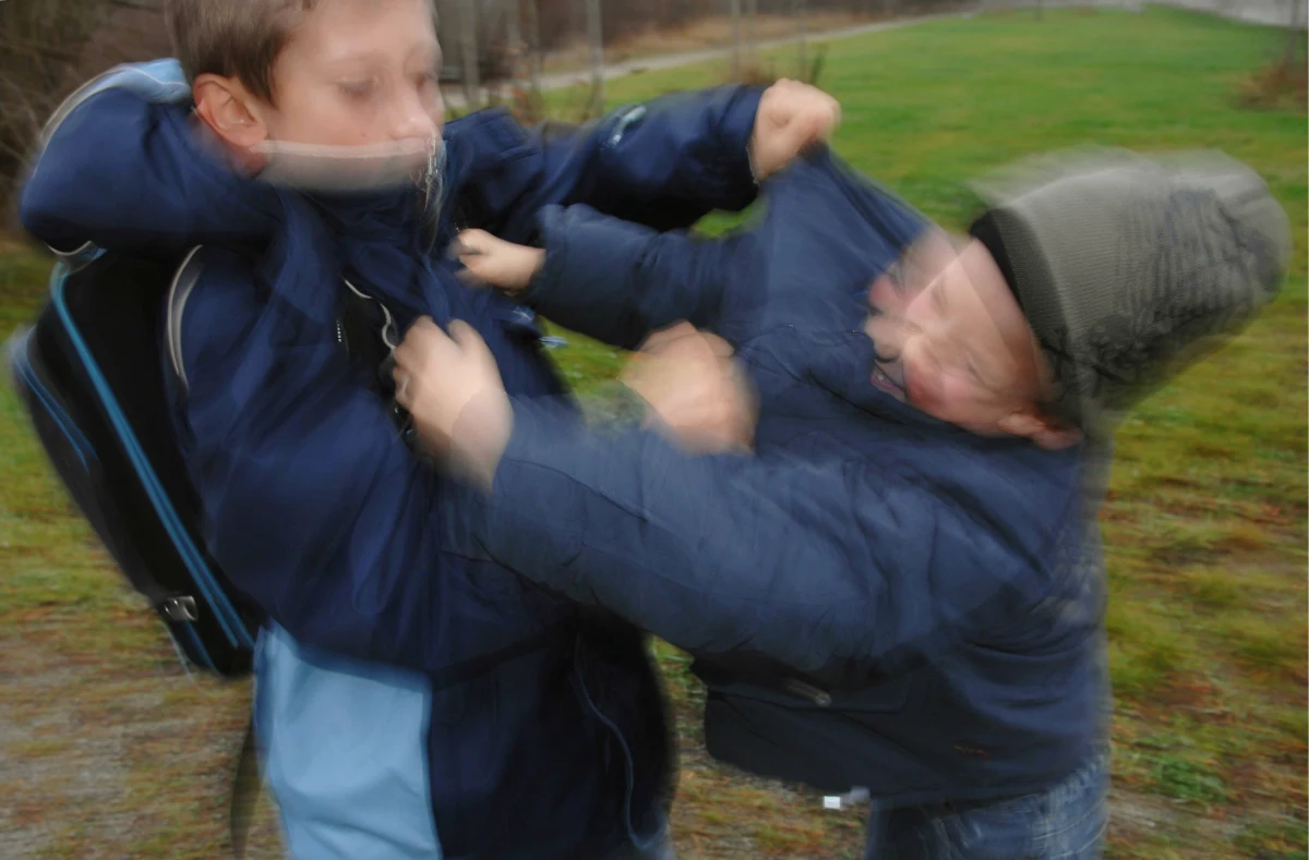 Nie słabnie wsparcie dla 11-letniego Polaka, który został brutalnie pobity w Irlandii Północnej. Sprawcami ataku byli jego rówieśnicy. Ku oburzeniu wielu Irlandczyków, dzieci nazwały swą ofiarę „polskim bękartem”. 