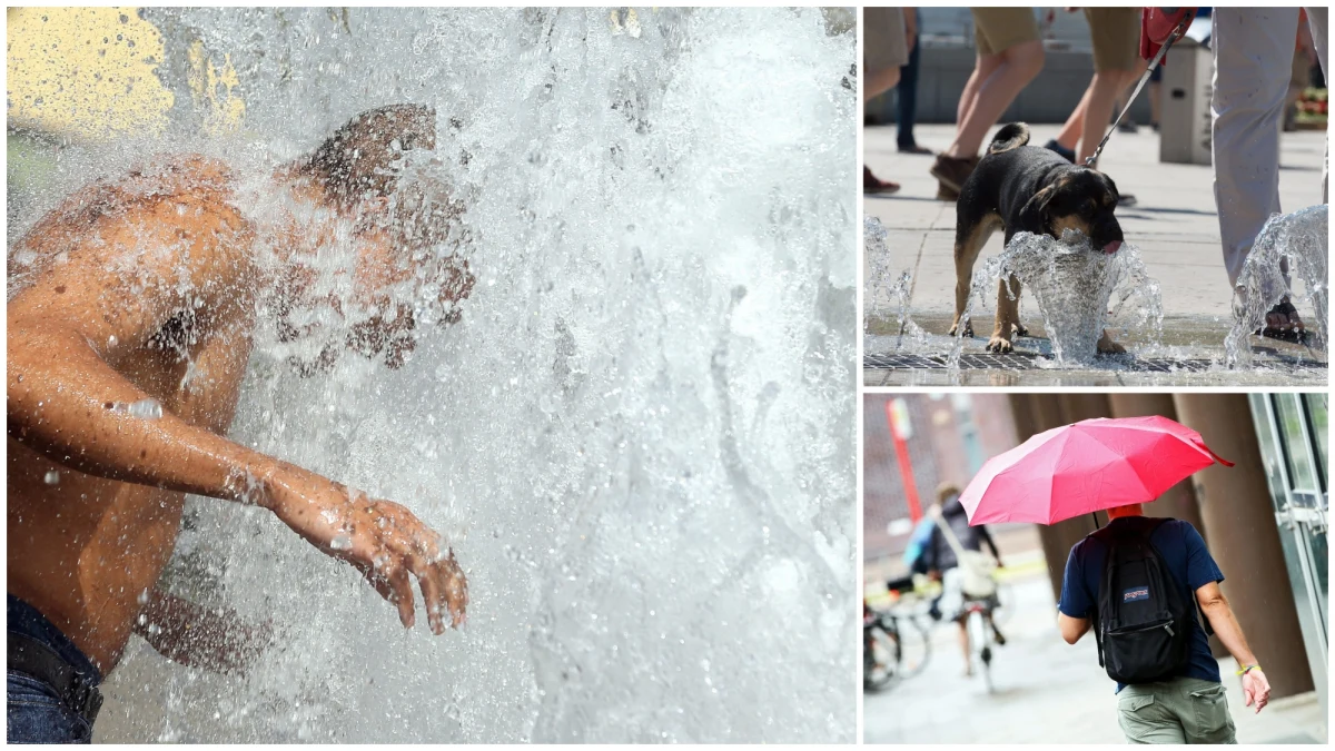 Dodatkowe karetki pogotowia, stan podwyższonej gotowości dla straży pożarnej i pracowników socjalnych - to zalecenia Rządowego Centrum Bezpieczeństwa w związku z nadchodzącą falą upałów. Do środy temperatury w całym kraju sięgną nawet 36 stopni Celsjusza! Przygotowaliśmy dla Was rady, jak przetrwać upały, czy jak udzielić pierwszej pomocy komuś, kto zasłabł.
