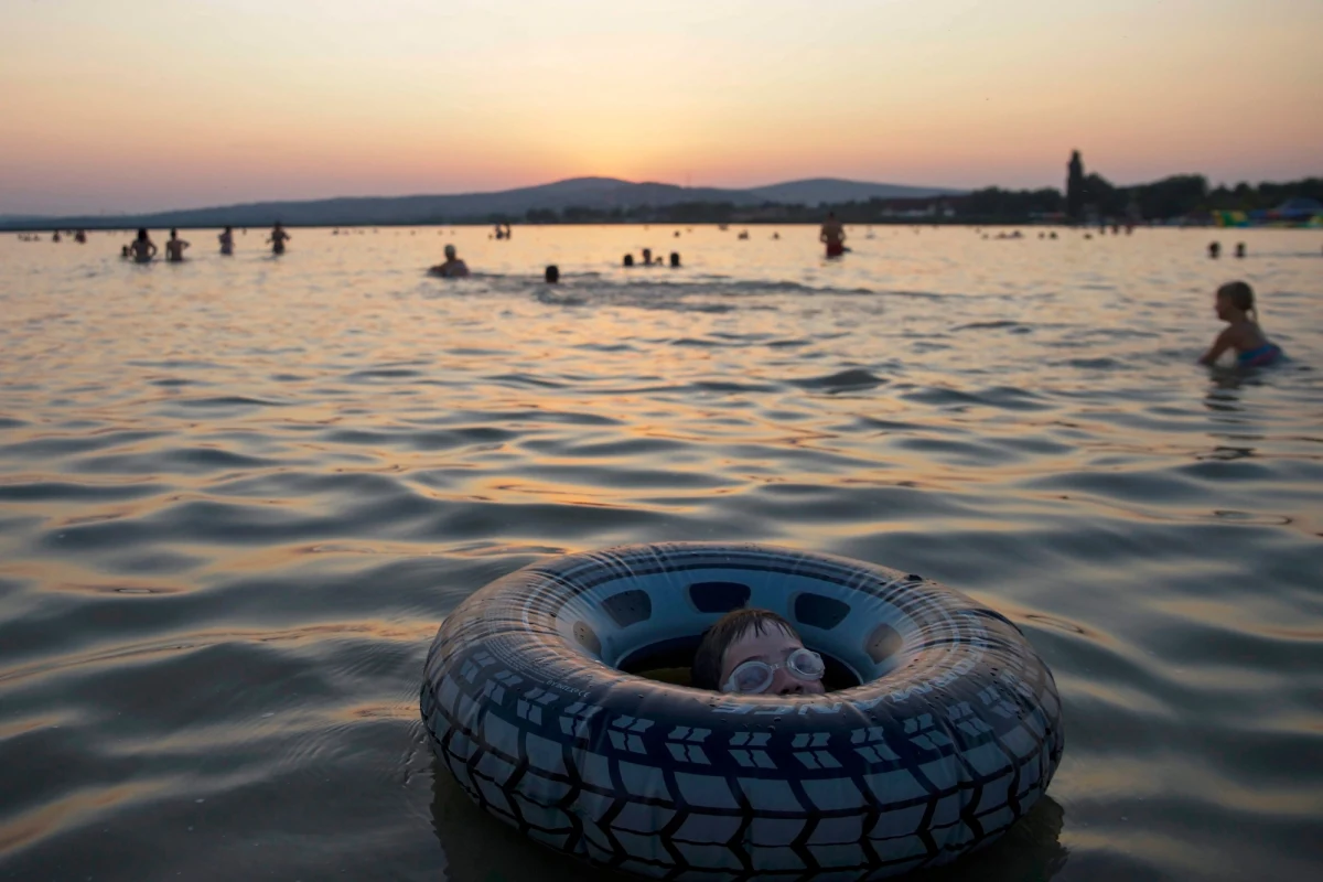 Rekiny sieją panikę na wschodnim wybrzeżu Stanów Zjednoczonych. Turyści boją się wchodzić do wody. Naukowcy próbują wyjaśnić przyczynę tak wielu ataków drapieżników w ciągu kilku tygodni. 