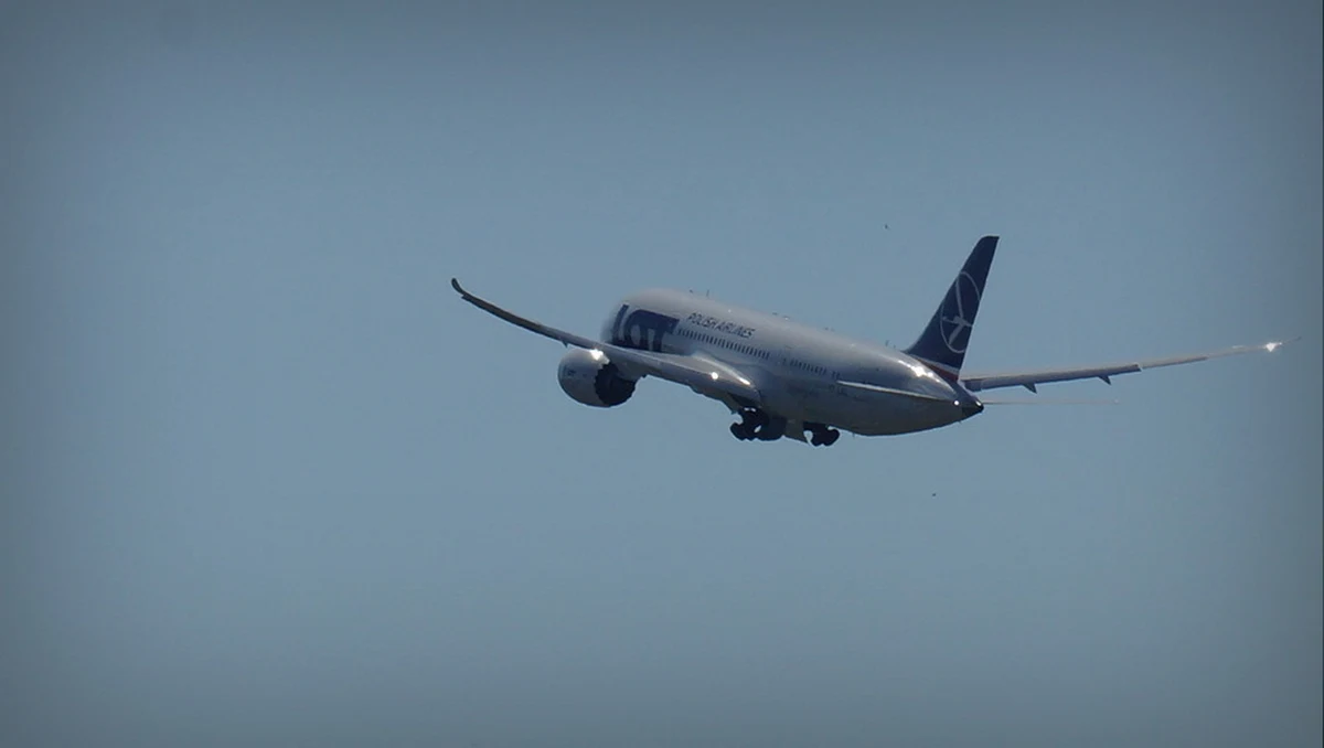 Zarząd LOT-u szuka firmy, która oceni, czy doszło do ataku hakerskiego na systemy komputerowe tego przewoźnika - dowiedział się reporter RMF FM. Chodzi o incydent sprzed kilkunastu dni, gdy zawiesiły się lotowskie serwery, które powinny dostarczać do pilotów elektroniczny plan lotu. Spowodowało to duże utrudnienia dla pasażerów, bo część samolotów nie mogła wystartować. 