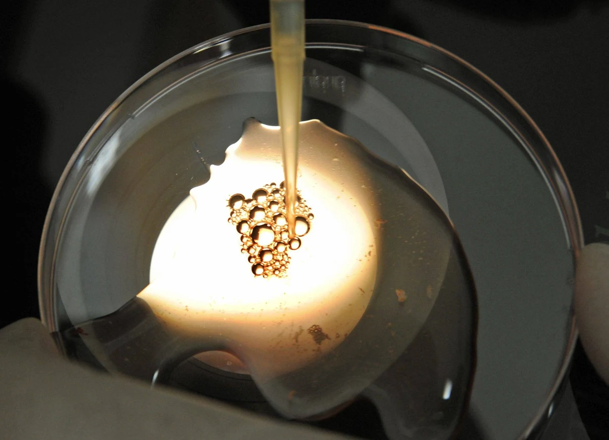 Senat nie zgłosił poprawek do ustawy o leczeniu bezpłodności, w tym metodą pozaustrojowego zapłodnienia in vitro. Za ustawą opowiedziało się 46 senatorów, przeciw było 43, a cztery osoby wstrzymały się od głosu. Teraz ustawa trafi do prezydenta.