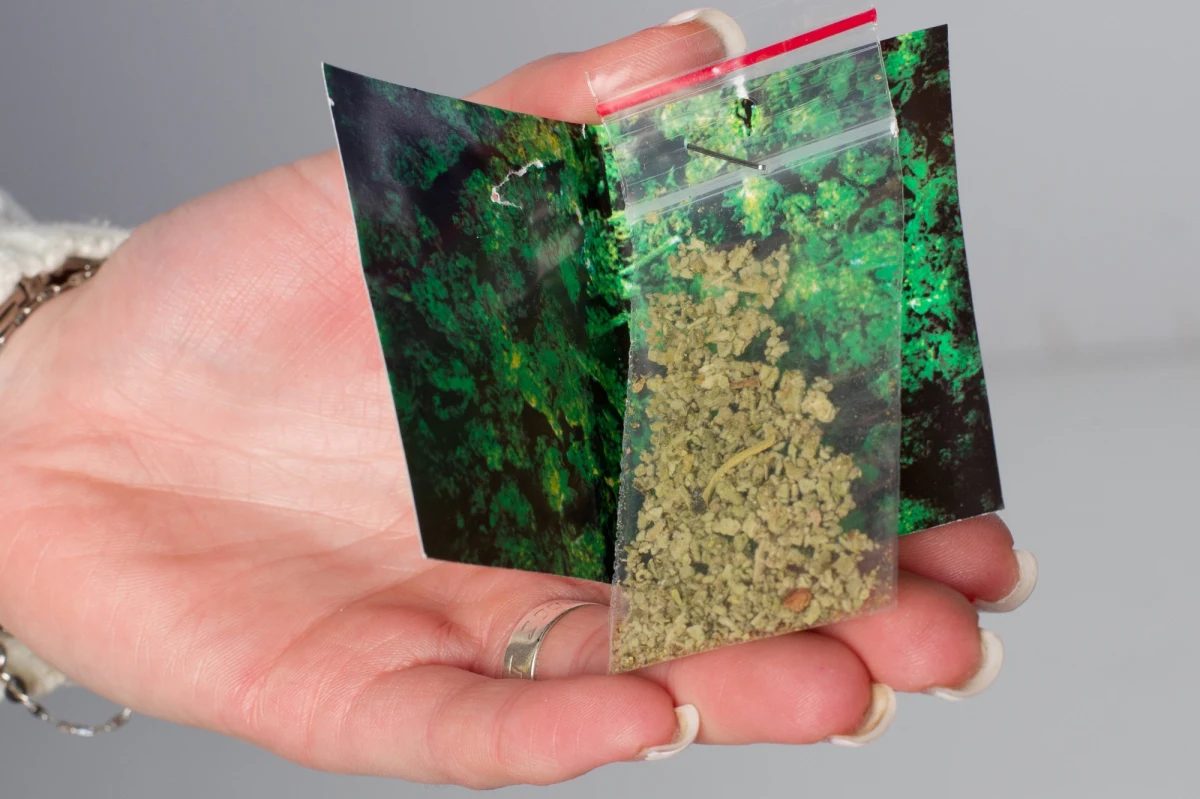 28 osób w ciągu dwóch ostatnich dni trafiło do szpitali w Katowicach z objawami zatrucia prawdopodobnie dopalaczami. Na razie skład groźnego dla zdrowia i życia środka, które zażyły, nie jest znany. Zlecono badania toksykologiczne.