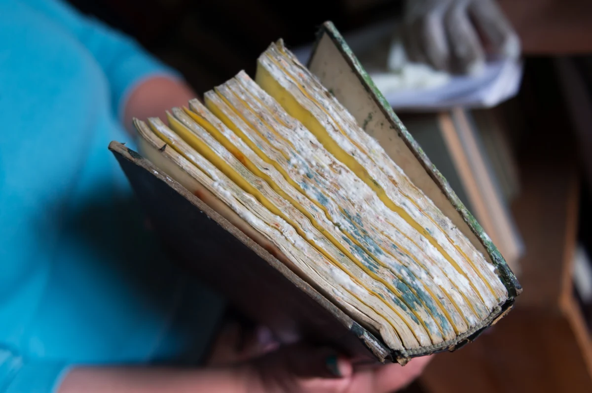 Tysiące starych ksiąg i komputery - to straty poznańskiego Uniwersytetu Przyrodniczego po błędzie firmy remontującej ulicę Dąbrowskiego. Ważny dla miasta remont rykoszetem odbił się na zasobach uczelni.