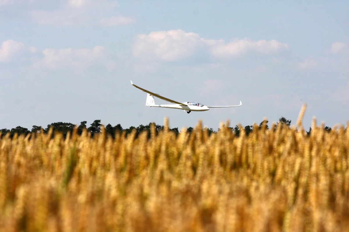 Awaryjne lądowanie szybowca w miejscowości Krzesławice na Mazowszu. Maszyna zatrzymała się na polach uprawnych. Nikomu nic się nie ustało.