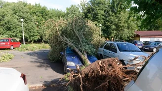 Tragiczne skutki nawałnic nad Polską. Blisko 6 tys. interwencji strażaków