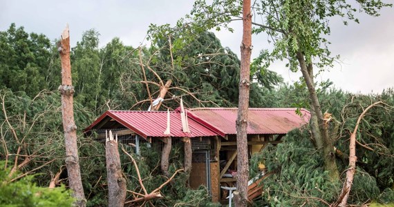 145 osób z obozu harcerskiego ewakuowano w Słupi w powiecie sierpeckim na Mazowszu. Zdecydowano się na to z powodu zagrożenia połamanymi przez wichurę drzewami. 