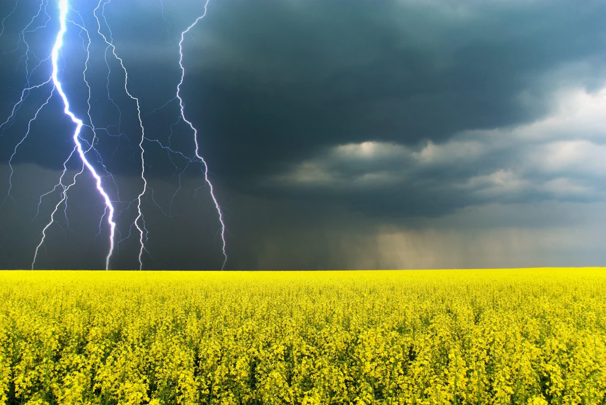 "Każda burza ma bardzo gwałtowny przebieg, bo towarzyszą jej wyładowania elektryczne" - mówi w rozmowie z RMF FM synoptyk Instytutu Meteorologii i Gospodarki Wodnej Michał Jaworski. Sprawdzamy, czy w burzach, które ostatnio przeszły nad Polską było coś szczególnego i jaka pogoda czeka nas w drugiej części tygodnia. 