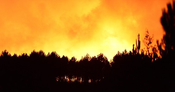 Pożar, który wybuchł w piątek w departamencie Żyrondy we Francji, strawił dotąd już 600 hektarów lasu sosnowego. Wciąż nie został opanowany - ogień nadal się rozprzestrzenia, sytuacja jest niebezpieczna - poinformował pułkownik straży pożarnej Dominique Mathieu.