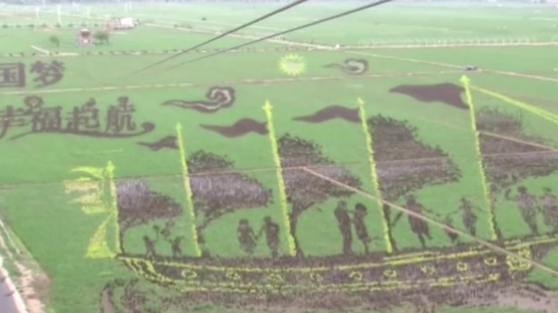 Chińscy rolnicy stworzyli zadziwiająco skomplikowane dzieła 3D, na swoich polach ryżowych. Za pomocą nowoczesnej technologii GPS, rolnicy stworzyli zawiłe i kolorowe obrazy przedstawiające m.in. tradycyjne chińskie żaglowce. Tego się nie da opisać to trzeba zobaczyć!