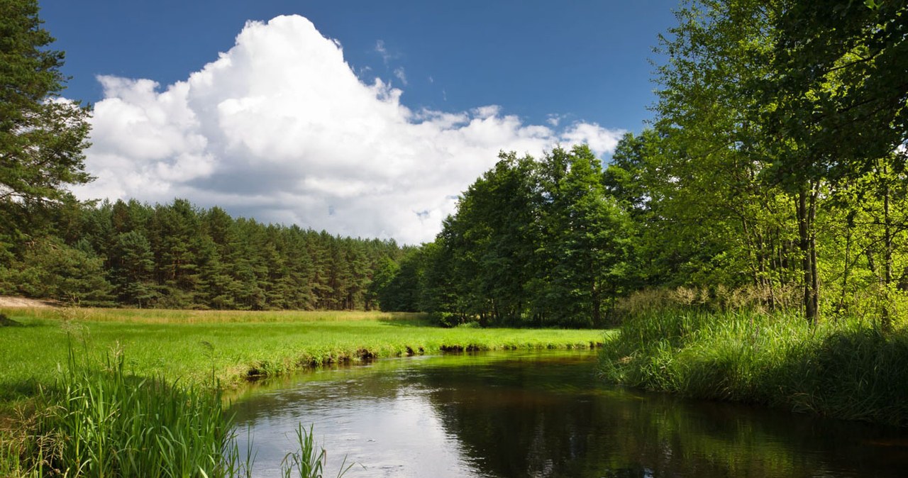 Jeden z najpiękniejszych szlaków w Polsce. Zdziwisz się, w jakim regionie przebiega