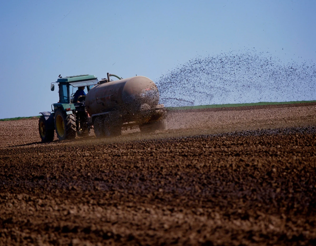 Nie widać końca trwającej już od ponad tygodnia fali protestów francuskich rolników. Tym razem zasypali oni obornikiem i starymi oponami wejścia do supermarketów, przydrożnych restauracji szybkiej obsługi i firm z branży spożywczej w różnych częściach kraju. Związkowcy w ten sposób sprzeciwiają się sprzedawaniu produktów mięsnych i mleczarskich z innych krajów. 