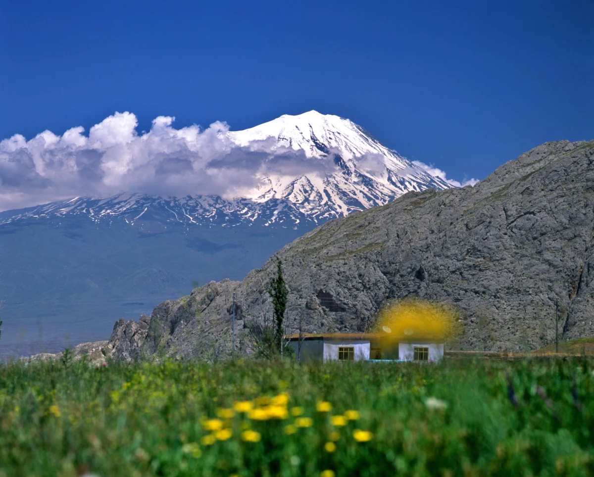Owczarek wabiący się Lord jest pierwszym psem, który czterokrotnie wszedł na najwyższy szczyt Turcji, legendarny Ararat (5137 m). Zwierzak towarzyszył wspinającym się turystom. Jak zapewnia przewodnik Mustafa Tekin, Lord nieomylnie wyczuwa warunki terenowe i pogodę.