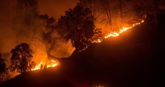 Już nie tylko w Kalifornii, ale również w stanie Waszyngton wybuchają olbrzymie pożary. Susza na zachodzie Stanów Zjednoczonych jest tak duża, że - jak mówią miejscowe władze - cały stan jest jak beczka prochu. Iskra wystarczy, by wybuchł kolejny pożar. 
