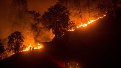 Gigantyczne pożary w Kalifornii. "Cały stan jak beczka prochu"
