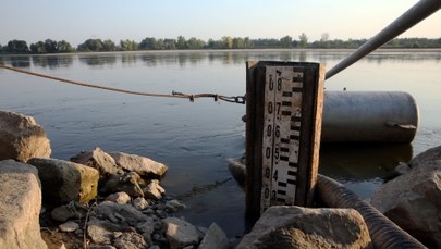 Upały nie odpuszczają: Alarmująco niski stan wody w rzekach